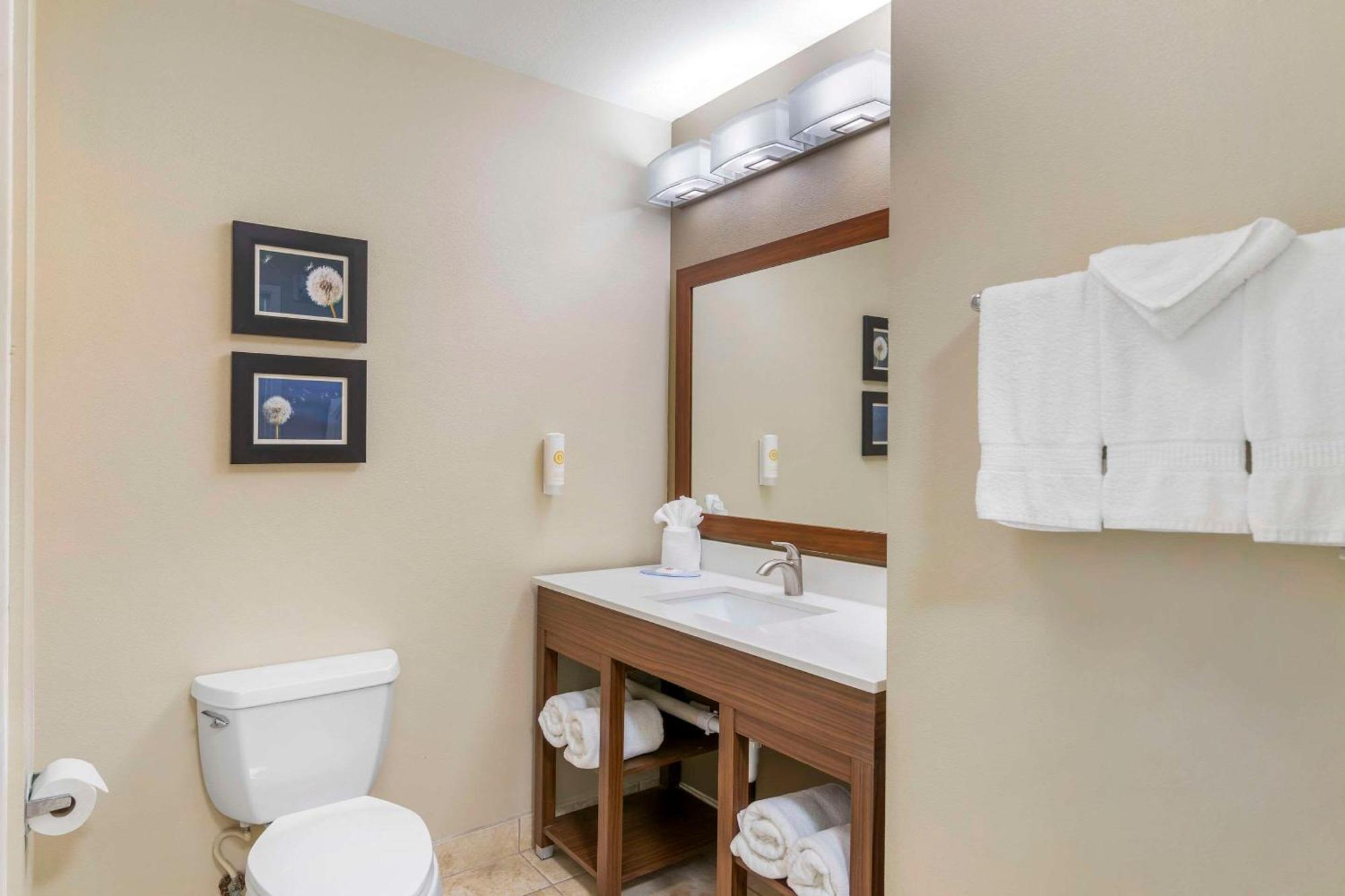 טיפטון Comfort Inn & Suites מראה חיצוני תמונה